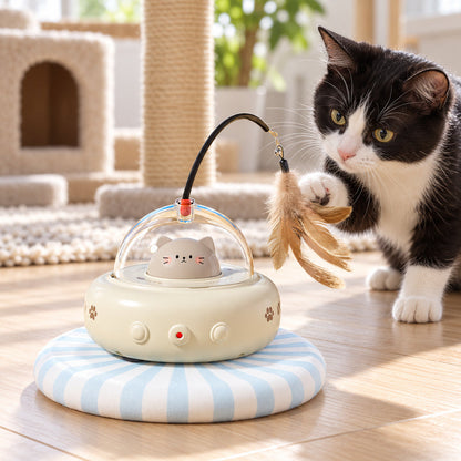 🐱 Interactive Toy | Plastic | Living Room | Caring Owners | Hanging Feathers